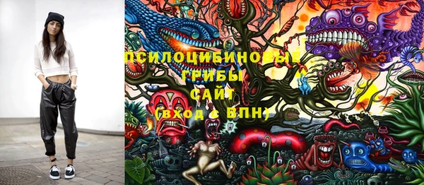 ECSTASY Бронницы